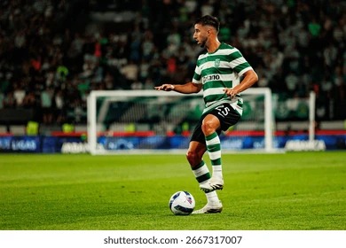 《原神》新手主C与强势四星五星角色推荐：开荒期的得力助手